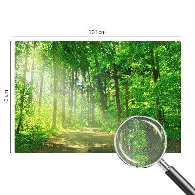 Dekoracyjna fototapeta na ścianę Dekoracyjna fototapeta na ścianę