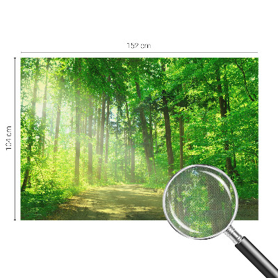 Dekoracyjna fototapeta na ścianę z widokiem leśnej ścieżki