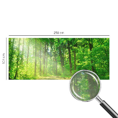 Dekoracyjna fototapeta na ścianę Dekoracyjna fototapeta na ścianę