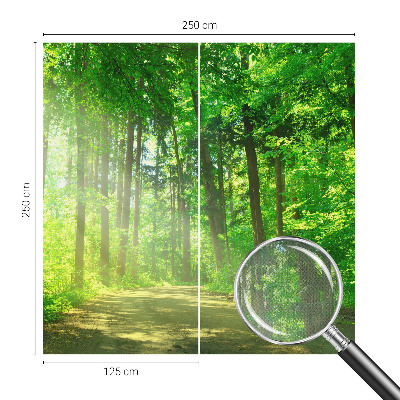 Dekoracyjna fototapeta na ścianę z widokiem leśnej ścieżki