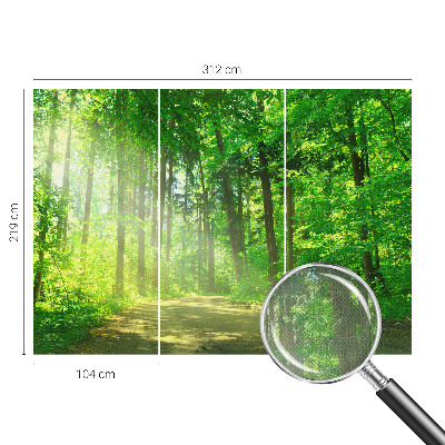 Dekoracyjna fototapeta na ścianę Dekoracyjna fototapeta na ścianę