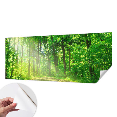 Dekoracyjna fototapeta na ścianę z widokiem leśnej ścieżki