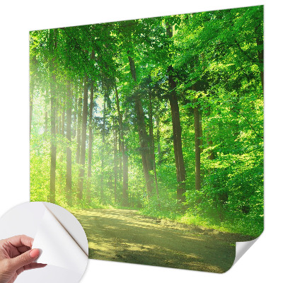 Dekoracyjna fototapeta na ścianę z widokiem leśnej ścieżki