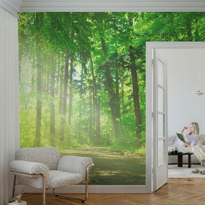 Dekoracyjna fototapeta na ścianę z widokiem leśnej ścieżki