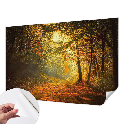 Fototapeta na ścianę z motywem jesiennego pejzażu