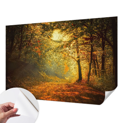 Fototapeta na ścianę z motywem jesiennego pejzażu