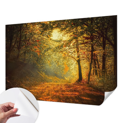 Fototapeta na ścianę z motywem jesiennego pejzażu