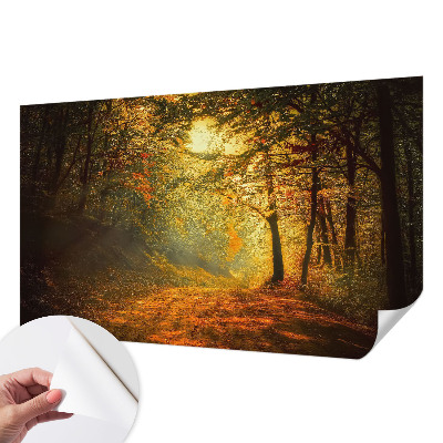 Fototapeta na ścianę z motywem jesiennego pejzażu