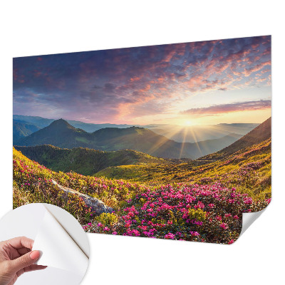 Fototapeta samoprzylepna z nadrukiem z motywem górskiej panoramy