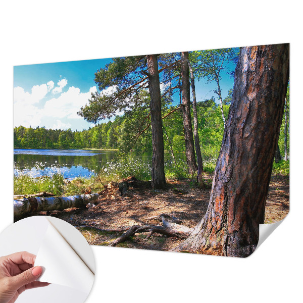 Tapeta fotograficzna z motywem leśnego krajobrazu