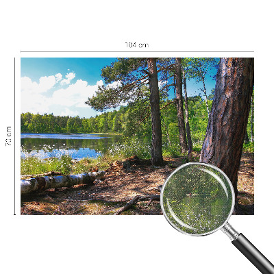 Tapeta fotograficzna z motywem leśnego krajobrazu