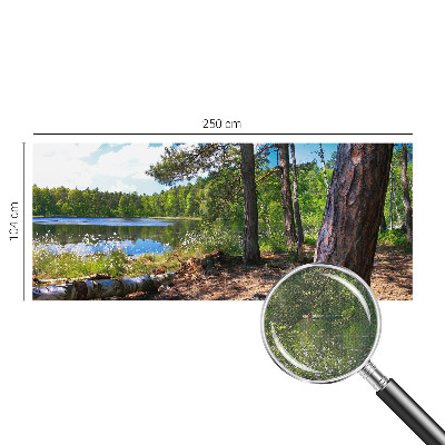 Tapeta fotograficzna z motywem leśnego krajobrazu