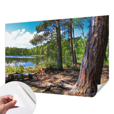 Tapeta fotograficzna z motywem leśnego krajobrazu
