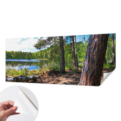 Tapeta fotograficzna z motywem leśnego krajobrazu