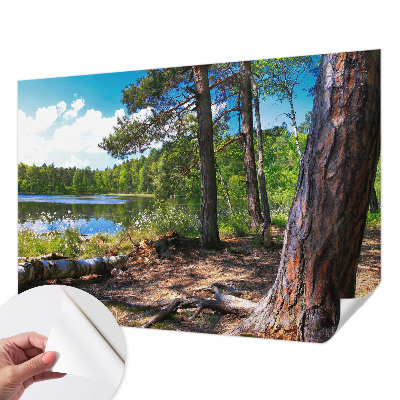 Tapeta fotograficzna z motywem leśnego krajobrazu