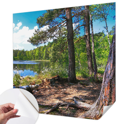 Tapeta fotograficzna z motywem leśnego krajobrazu