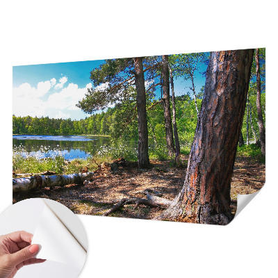 Tapeta fotograficzna z motywem leśnego krajobrazu