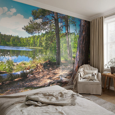 Tapeta fotograficzna z motywem leśnego krajobrazu