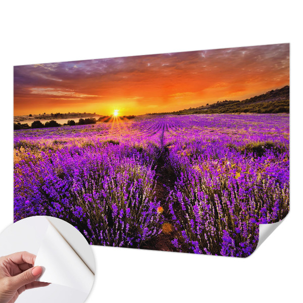 Dekoracyjna fototapeta na ścianę z motywem lawendowego zachodu