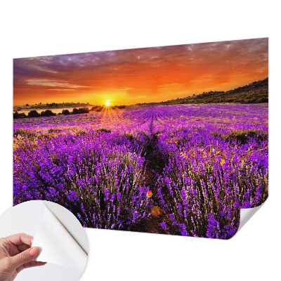 Dekoracyjna fototapeta na ścianę z motywem lawendowego zachodu