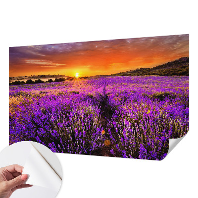 Dekoracyjna fototapeta na ścianę z motywem lawendowego zachodu