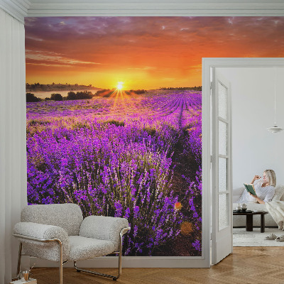 Dekoracyjna fototapeta na ścianę z motywem lawendowego zachodu