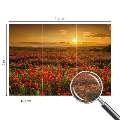 Nowoczesna fototapeta do salonu Nowoczesna fototapeta do salonu