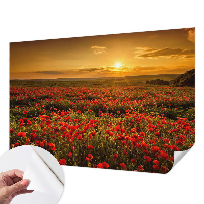 Nowoczesna fototapeta do salonu z motywem makowego pola