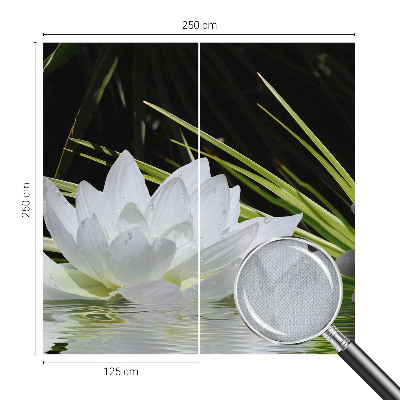Fototapeta samoprzylepna do sypialni z motywem lilii w kompozycji nawiązującej do medytacji