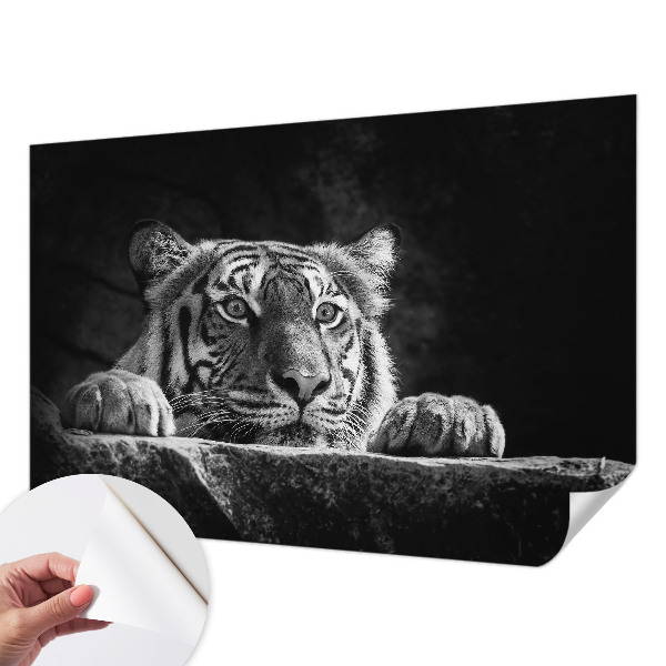 Fototapeta na ścianę Fototapeta na ścianę