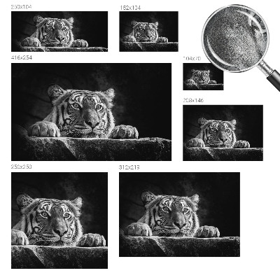 Fototapeta na ścianę Fototapeta na ścianę