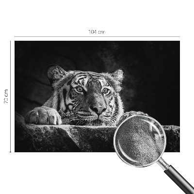 Fototapeta na ścianę Fototapeta na ścianę