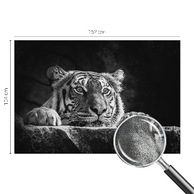 Fototapeta na ścianę Fototapeta na ścianę