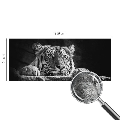 Fototapeta na ścianę Fototapeta na ścianę