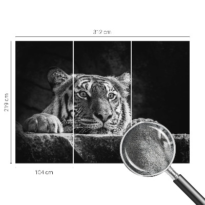 Fototapeta na ścianę z motywem drapieżnego spojrzenia