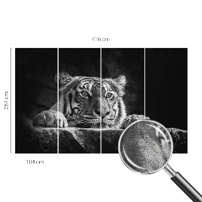 Fototapeta na ścianę Fototapeta na ścianę