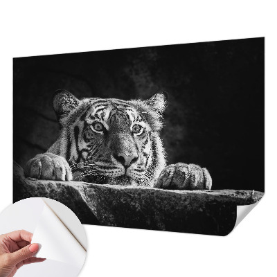 Fototapeta na ścianę Fototapeta na ścianę