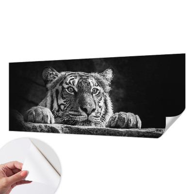 Fototapeta na ścianę z motywem drapieżnego spojrzenia