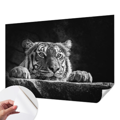 Fototapeta na ścianę Fototapeta na ścianę