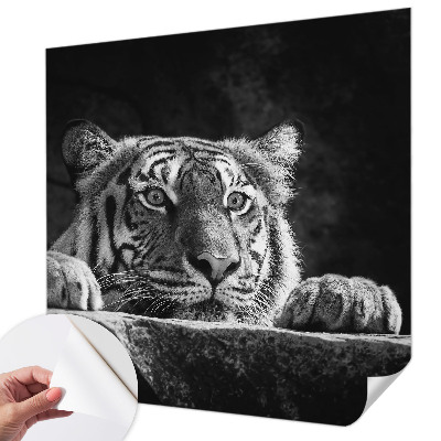 Fototapeta na ścianę Fototapeta na ścianę