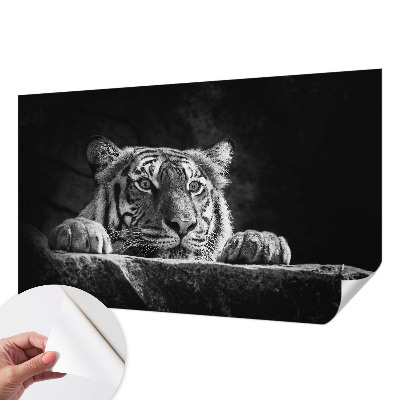 Fototapeta na ścianę Fototapeta na ścianę