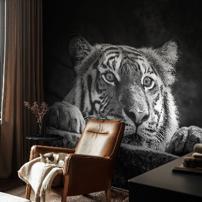 Fototapeta na ścianę Fototapeta na ścianę