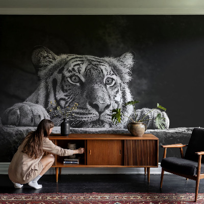 Fototapeta na ścianę Fototapeta na ścianę