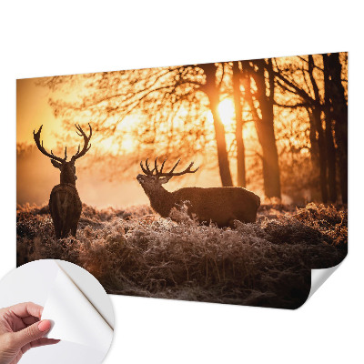 Nowoczesna fototapeta do salonu Nowoczesna fototapeta do salonu