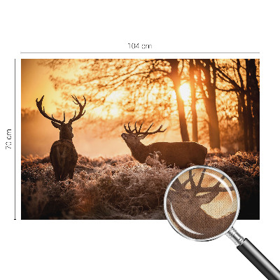 Nowoczesna fototapeta do salonu Nowoczesna fototapeta do salonu