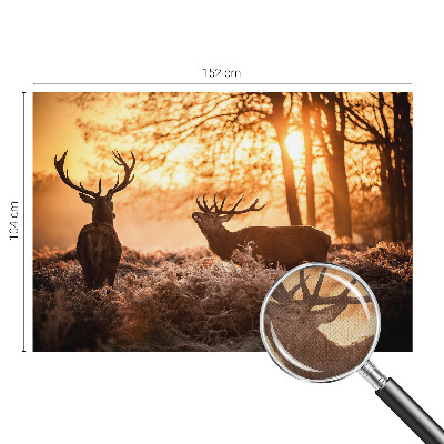 Nowoczesna fototapeta do salonu Nowoczesna fototapeta do salonu