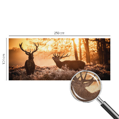 Nowoczesna fototapeta do salonu Nowoczesna fototapeta do salonu