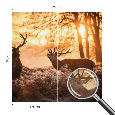 Nowoczesna fototapeta do salonu Nowoczesna fototapeta do salonu