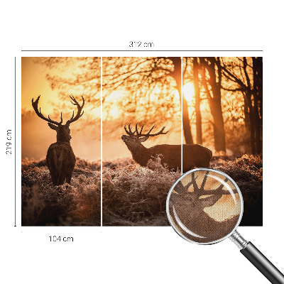 Nowoczesna fototapeta do salonu Nowoczesna fototapeta do salonu