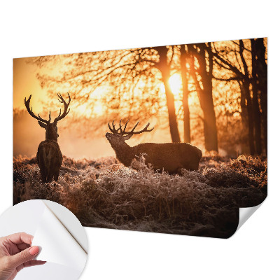 Nowoczesna fototapeta do salonu Nowoczesna fototapeta do salonu